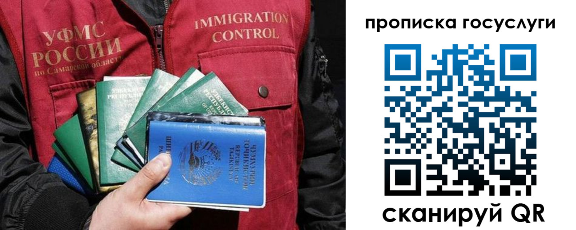 прописка поиск в Волгодонске